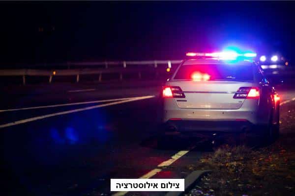 מרדף לילי פרוע