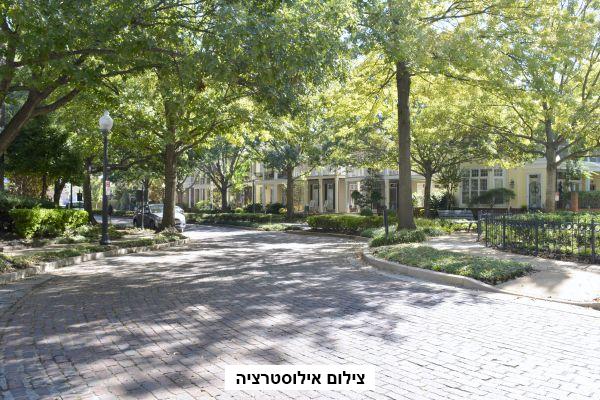 חידוש שבילים