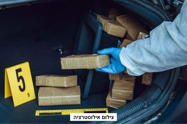 תפיסת סמים