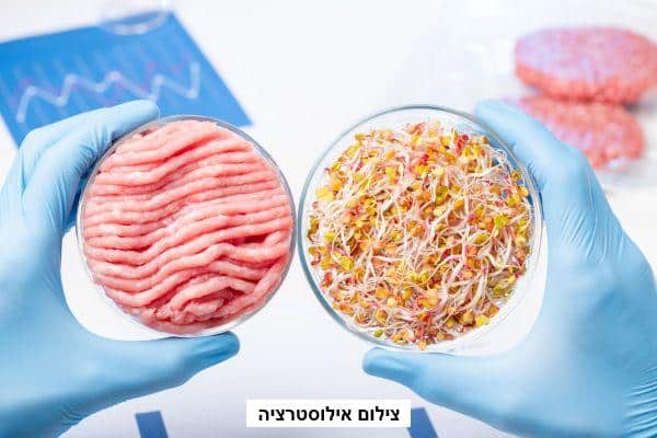 טכנולוג מזון